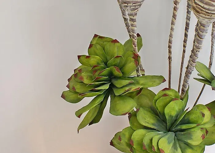 Гостевой дом Casa Blanco 4*