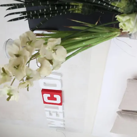 Casa Blanco 4* Tarifa